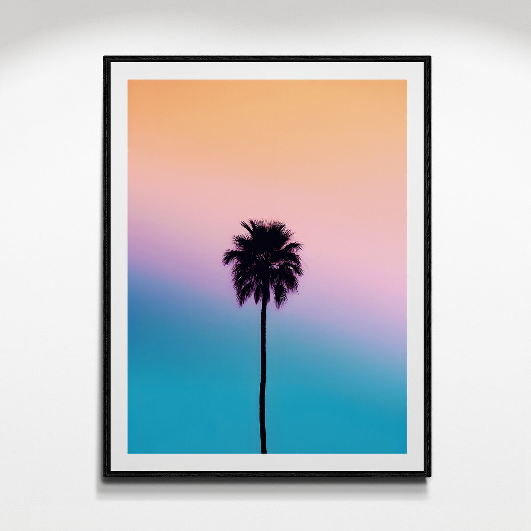 Balmy Palm