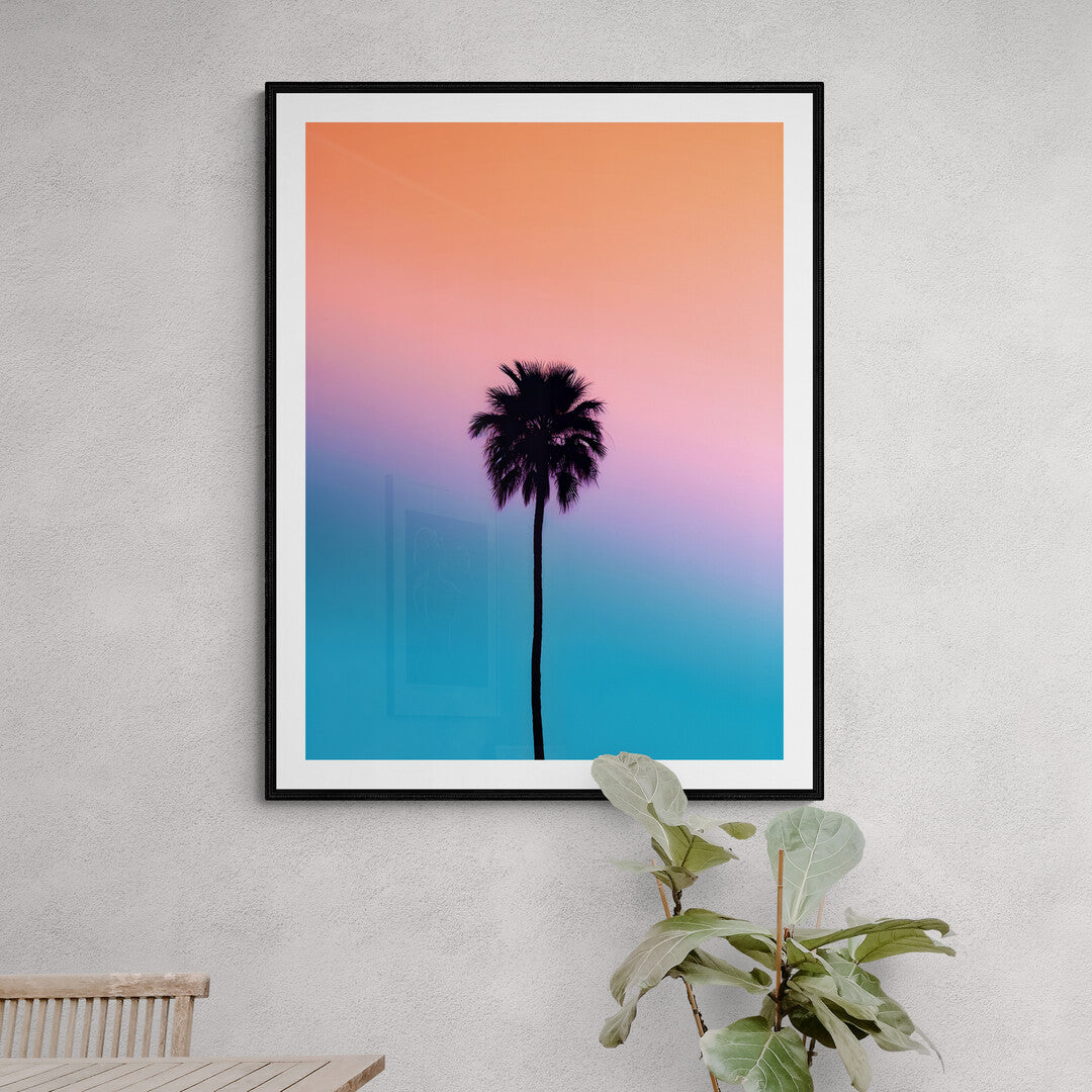 Balmy Palm